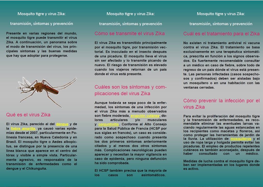 Recomendaciones contra el mosquito tigre Recomendaciones contra el mosquito tigre